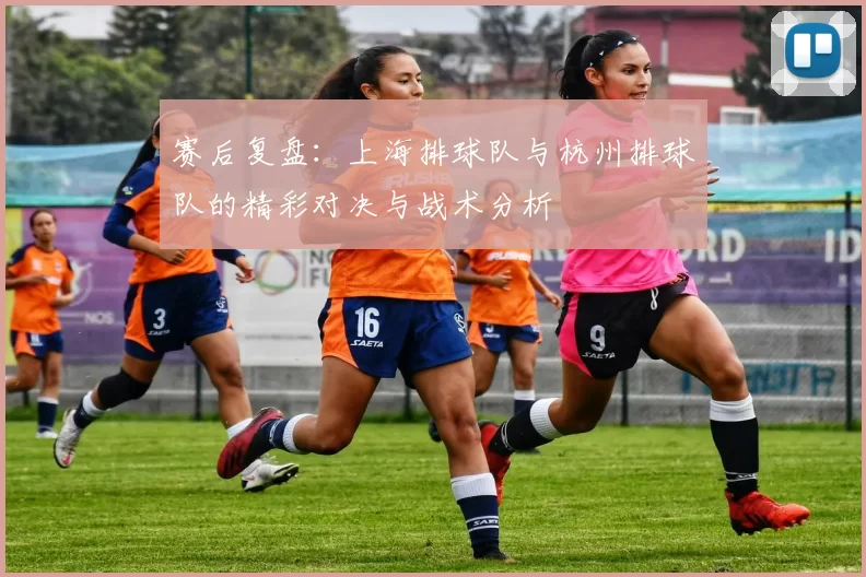 赛后复盘：上海排球队与杭州排球队的精彩对决与战术分析