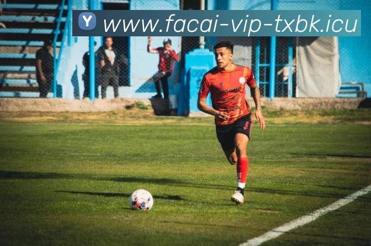 华体会体育APP 体育赛事宣传图